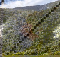 Kearneys Falls - Accommodation Coffs Harbour