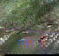 Kerewong State Forest - Accommodation Coffs Harbour
