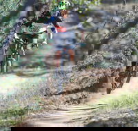 Kidsons Cycles - Accommodation Coffs Harbour