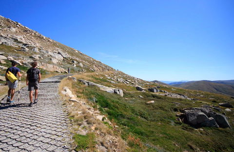 Kosciuszko Walk - Thredbo To Mount Kosciuszko - Accommodation Coffs Harbour 0