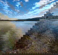 Lake Innes Nature Reserve - Accommodation Coffs Harbour