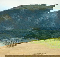 Langi Ghiran State Park - Accommodation Coffs Harbour