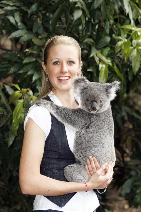 Lone Pine Koala Sanctuary - Accommodation Coffs Harbour 1