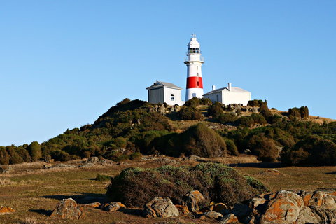 Low Head Foghorn - Accommodation Coffs Harbour 1