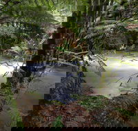 Marriotts Falls and Junee Caves - Accommodation Coffs Harbour