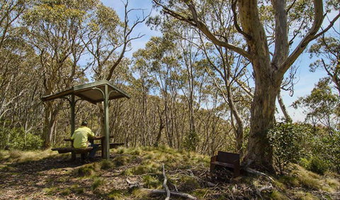 Mount Barrington Picnic Area - Accommodation Coffs Harbour 0