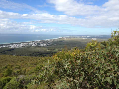 Mount Coolum National Park - Accommodation Coffs Harbour 0