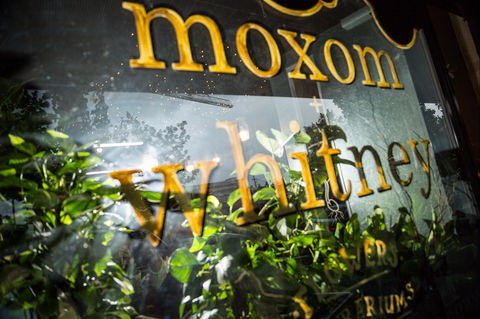 Moxom And Whitney - Accommodation Coffs Harbour 2