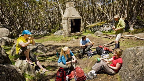 Mt Baw Baw - Accommodation Coffs Harbour 0