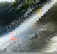 Natures Way - Accommodation Coffs Harbour