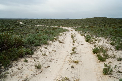 Ngarkat Conservation Park - Accommodation Coffs Harbour 0