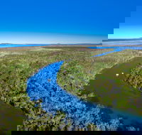 Noosa Everglades - Accommodation Coffs Harbour