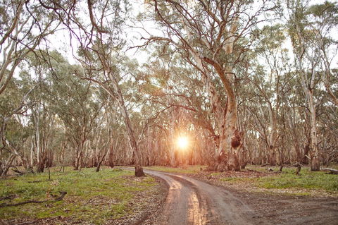 Nyah Vinifera Park - Accommodation Coffs Harbour 1