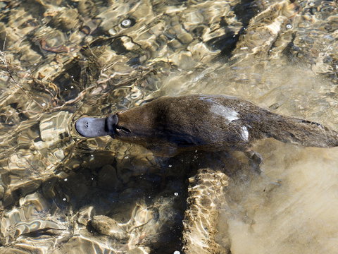 Orara River - Accommodation Coffs Harbour 1