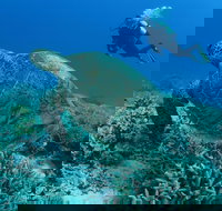 Pams Point - Accommodation Coffs Harbour