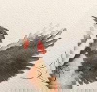 Pebbles and Pods - Accommodation Coffs Harbour