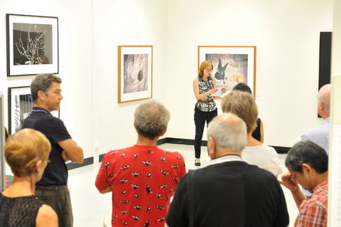 Pine Rivers Art Gallery - Accommodation Coffs Harbour 1
