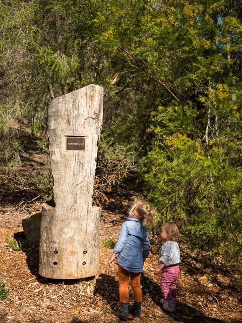 Rotary Peace Precinct - Accommodation Coffs Harbour 1