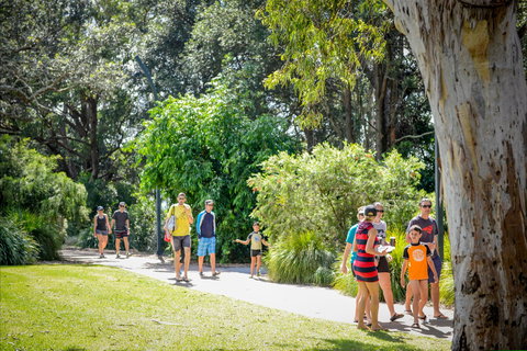 Round The Bay Walking Track: Huskisson To Vincentia - Accommodation Coffs Harbour 1