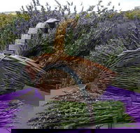 Rustique Lavender Farm - Accommodation Coffs Harbour