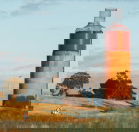 Rutherglen Wine Bottle - Accommodation Coffs Harbour