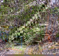 Sawpit Walking Track - Accommodation Coffs Harbour