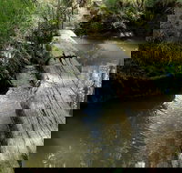Second Ponds Creek Walk - Accommodation Coffs Harbour