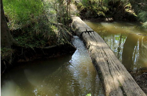 Second Ponds Creek Walk - Accommodation Coffs Harbour 0