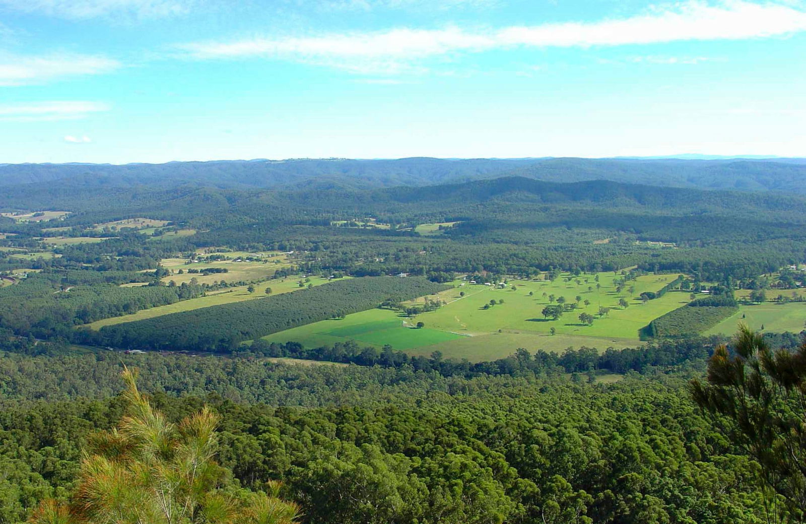 Bucca NSW Accommodation Coffs Harbour
