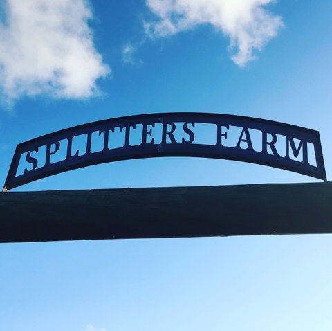 Splitters Farm - Accommodation Coffs Harbour 2