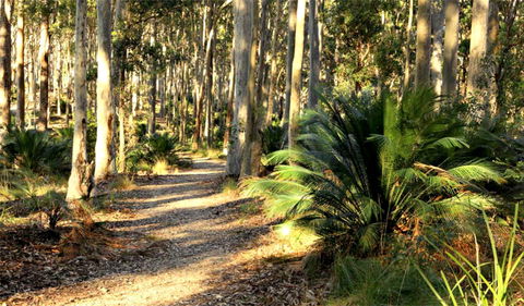 Square Head Track 2 - Accommodation Coffs Harbour 0