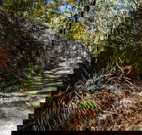 Starlights Trail - Accommodation Coffs Harbour