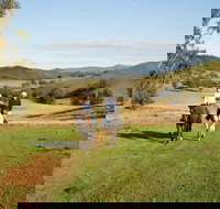 Tamworth and Kootingal Horse Riding Adventures - Accommodation Coffs Harbour