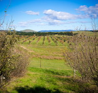 Tarago Truffles - Accommodation Coffs Harbour