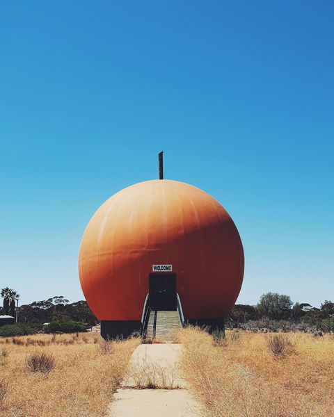 The Big Orange - Accommodation Coffs Harbour 0