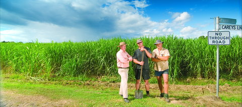 The Shed Gallery - Accommodation Coffs Harbour 0