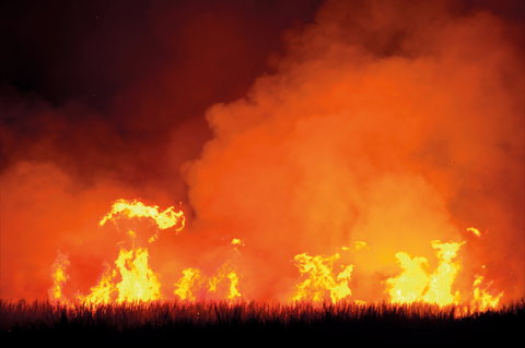 The Shed Gallery - Accommodation Coffs Harbour 1