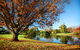 Toowoomba - thumb 1