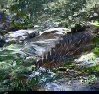 Towarri National Park - Accommodation Coffs Harbour
