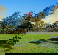 Tunks Hill picnic area - Accommodation Coffs Harbour
