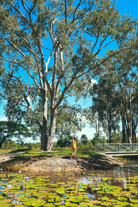 TYTO Wetlands - Accommodation Coffs Harbour 1