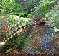 Waitui Falls - Accommodation Coffs Harbour