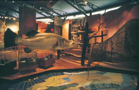Warradjan Cultural Centre - Accommodation Coffs Harbour 0