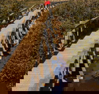 Warringine Park  Bittern Coastal Wetlands Boardwalk - Accommodation Coffs Harbour