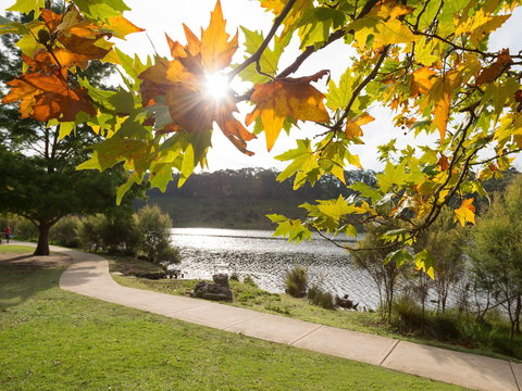 Wentworth Falls Lake - Accommodation Coffs Harbour 0