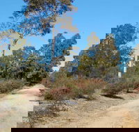 Werakata National Park - Accommodation Coffs Harbour
