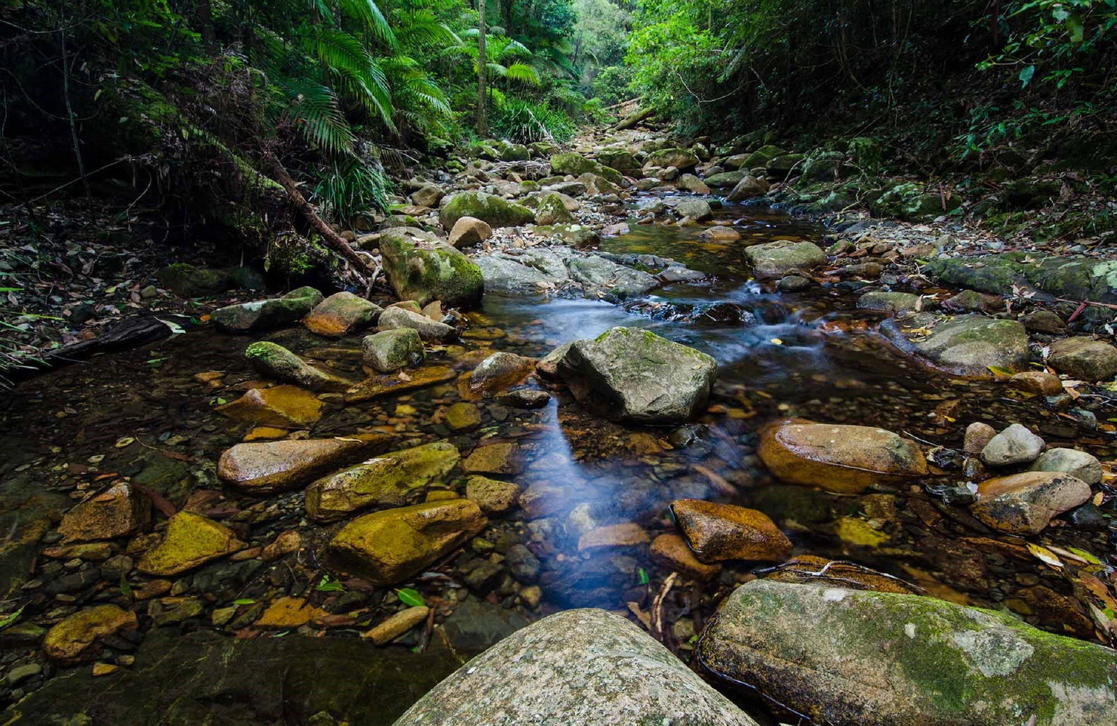 Willi Willi NSW Accommodation Coffs Harbour