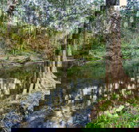 Woko National Park - Accommodation Coffs Harbour