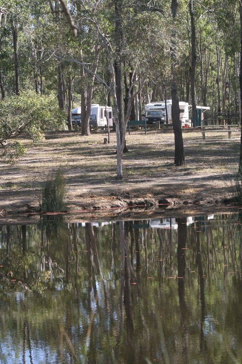 Wongi State Forest - Accommodation Coffs Harbour 1