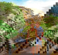Woody Island Nature Reserve - Accommodation Coffs Harbour